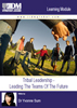 Tribal Leadership - Leading The Teams Of The Future  