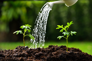 Why You Need To Stop Being The Bottleneck To Business Growth Why You Need To Stop Being The Bottleneck To Business Growth