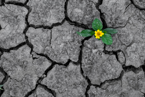 How to Break the Pattern of Unfulfillment