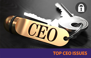 Top CEO Issues