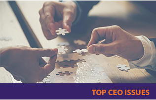 Top CEO Issues | The CEO Institute