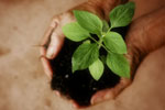 Assessing The Quality Of Your Leadership